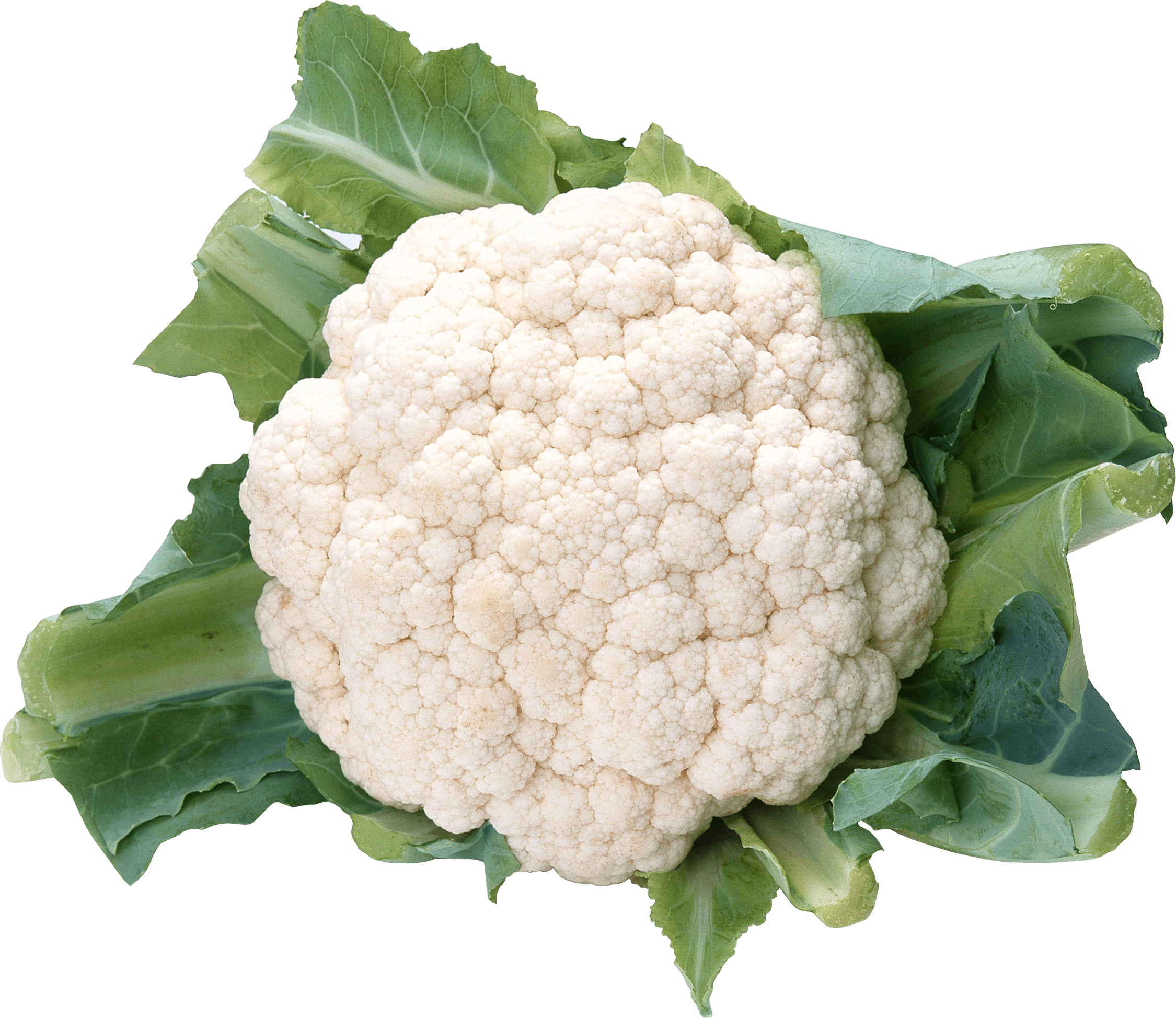 Cauliflower Transparent PNG Image