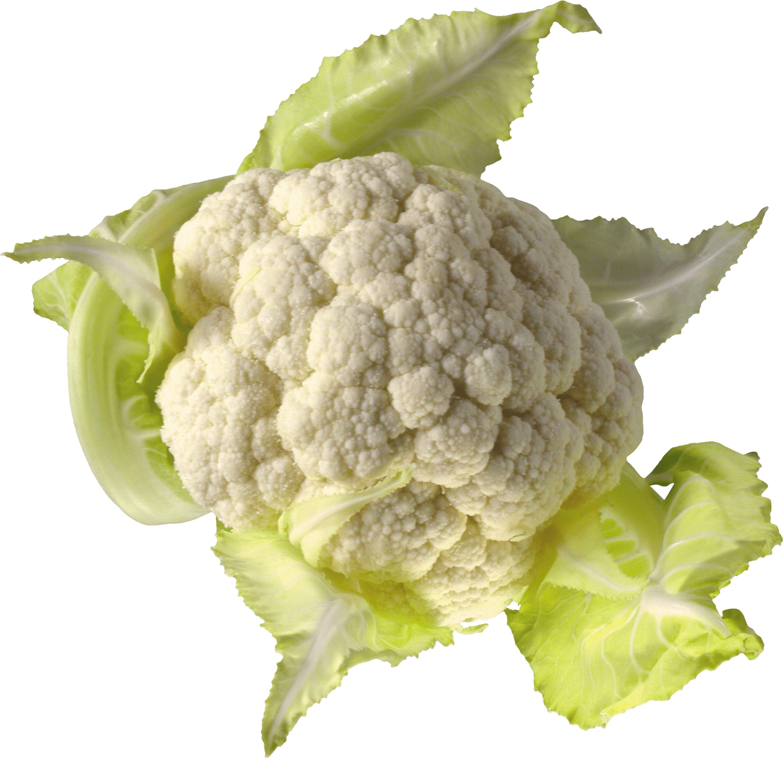 Cauliflower Transparent PNG Image