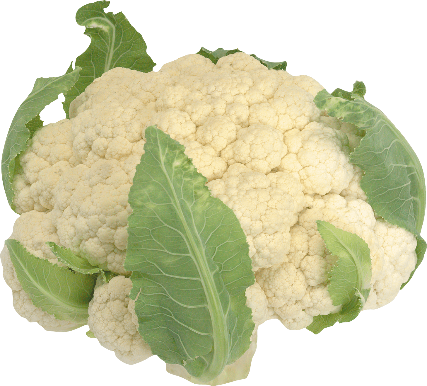 Cauliflower Transparent PNG Image