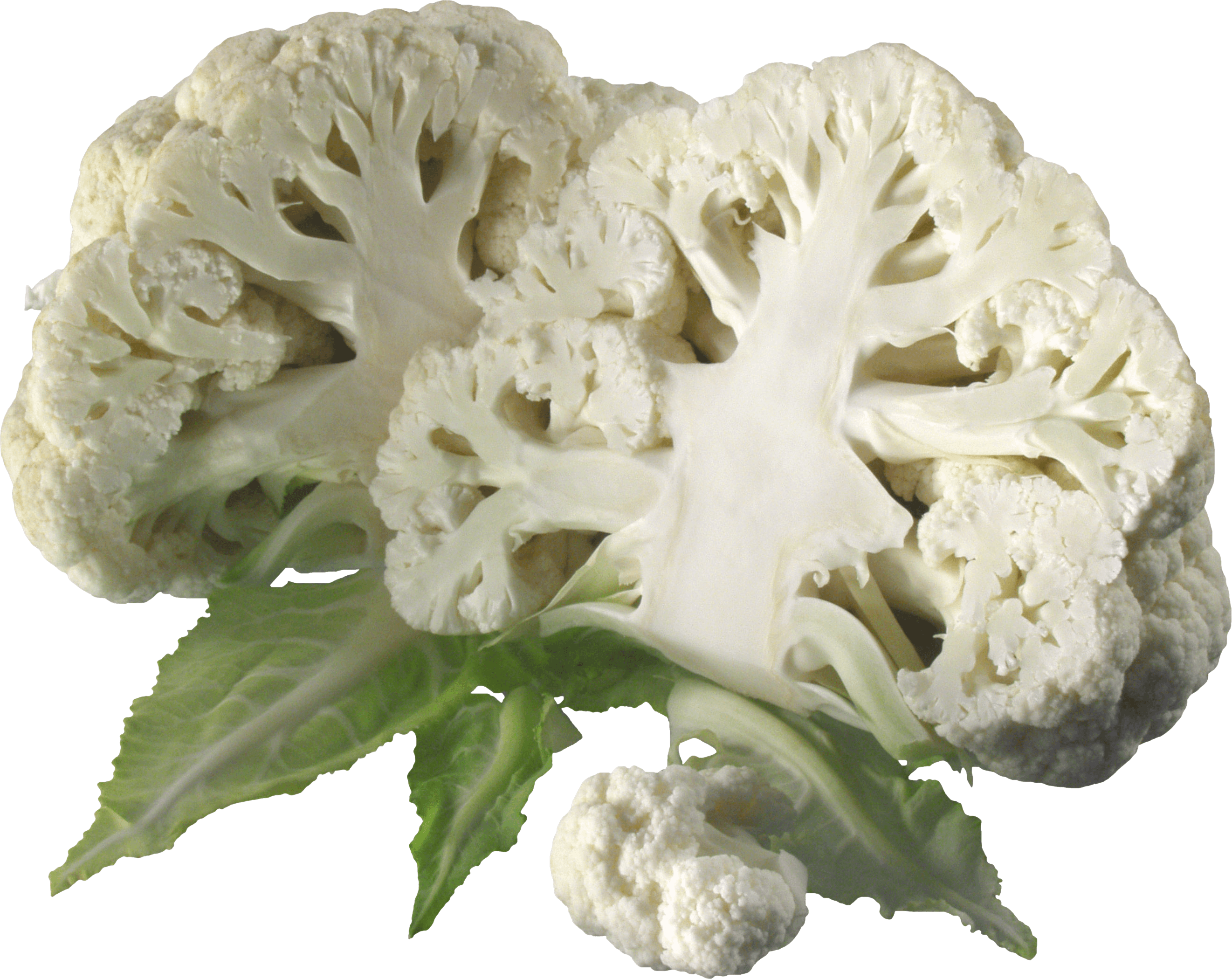 Cauliflower Transparent PNG Image