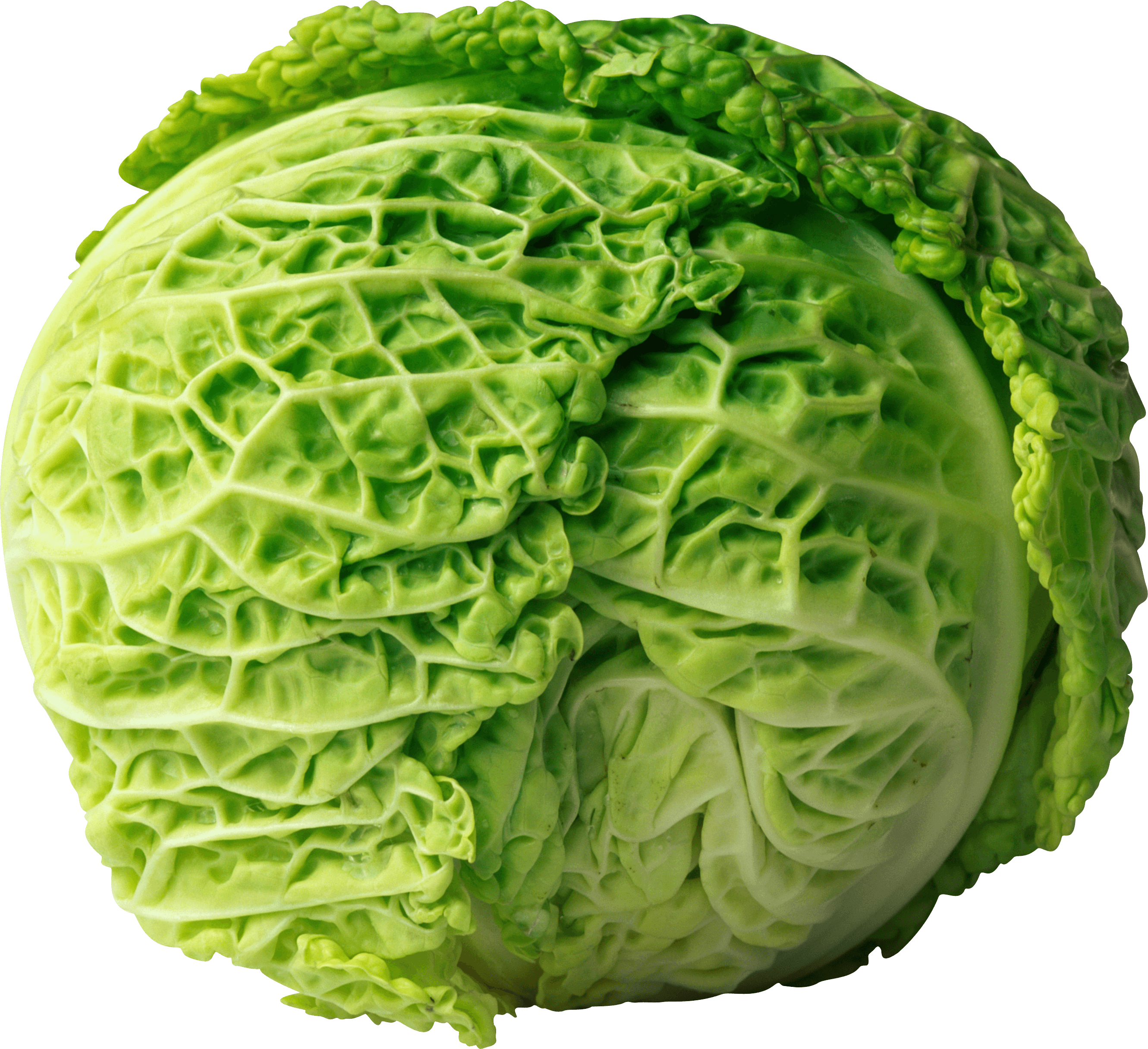 Cabbage Transparent PNG Image