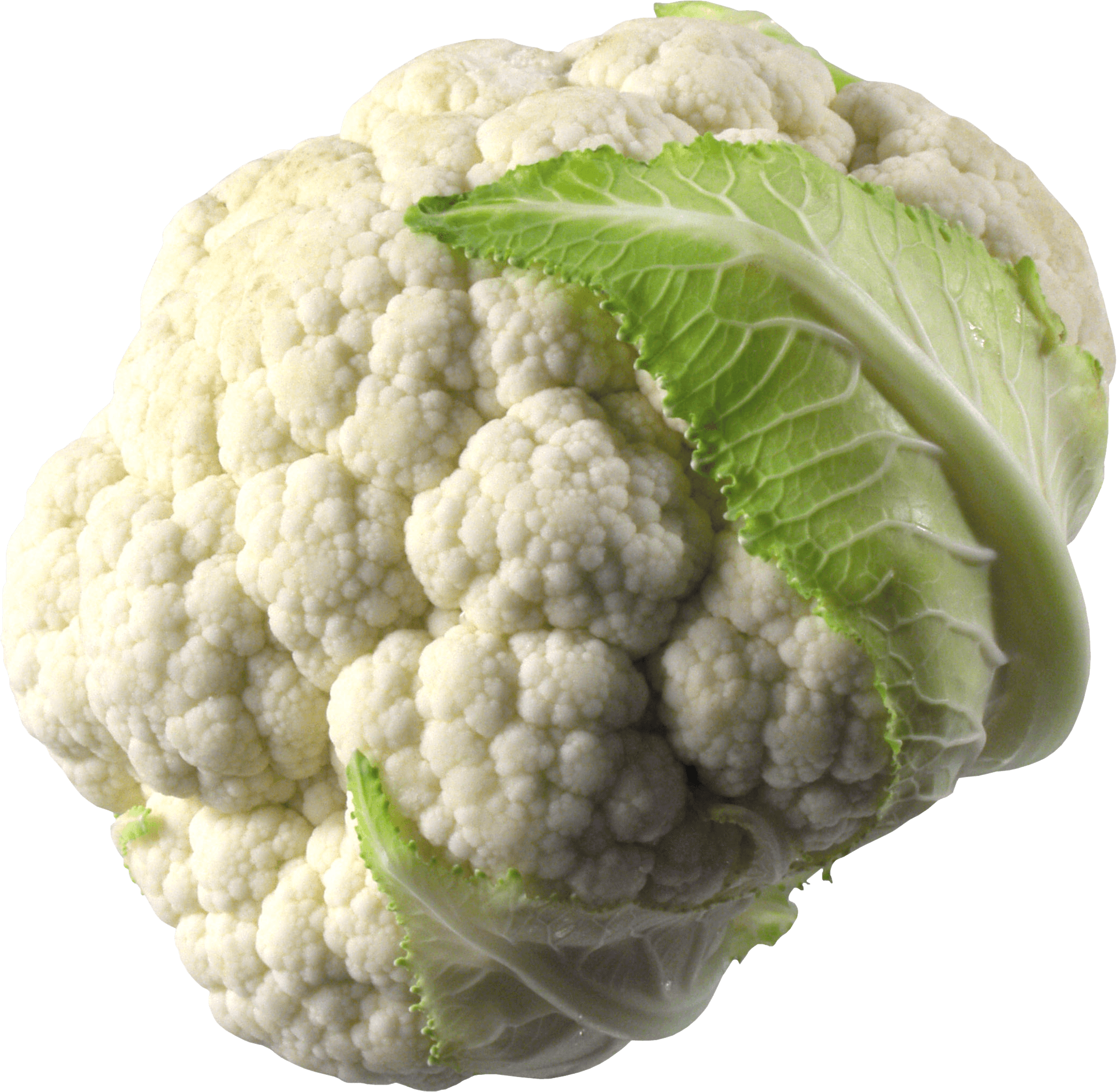 Cauliflower Transparent PNG Image