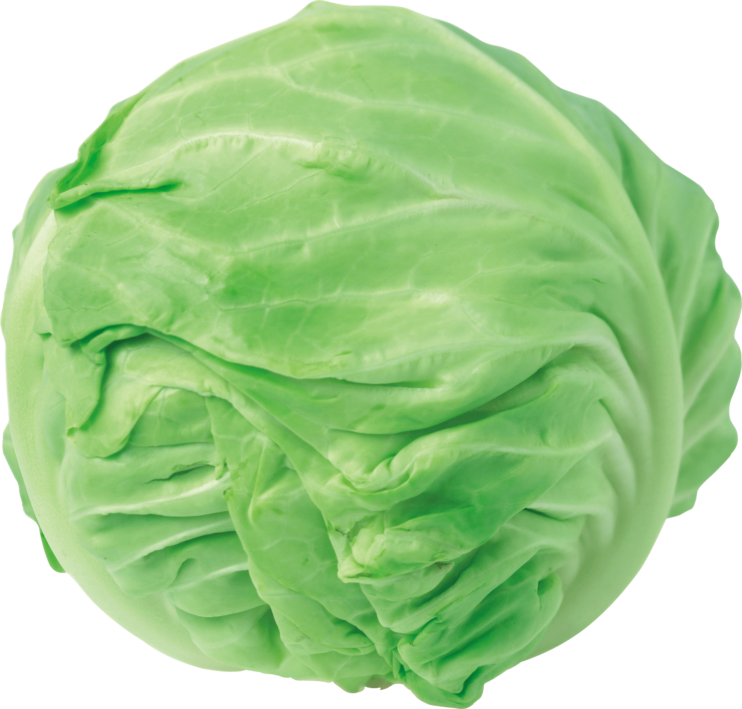 Cabbage Transparent PNG Image
