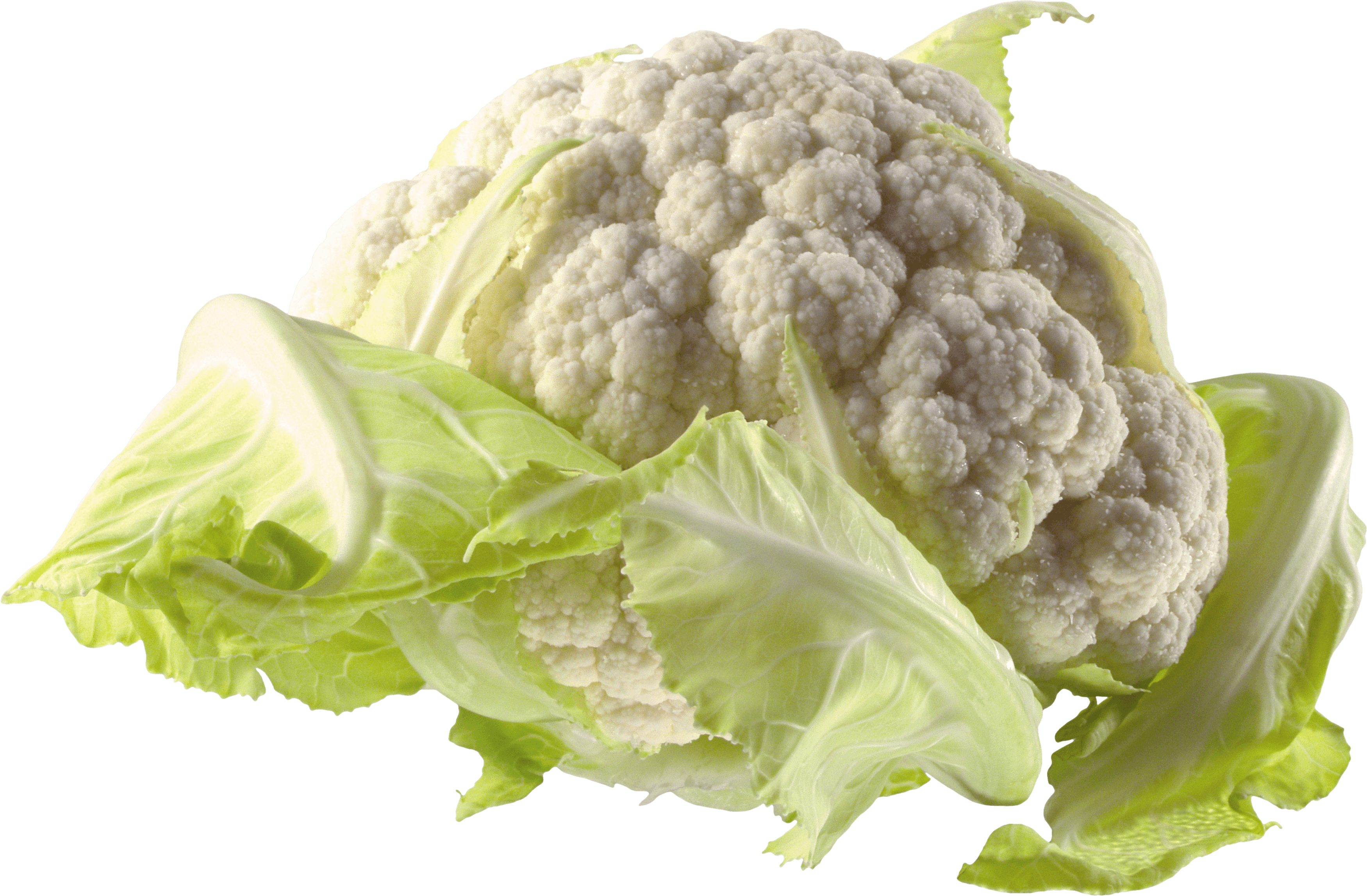 Cauliflower Transparent PNG Image