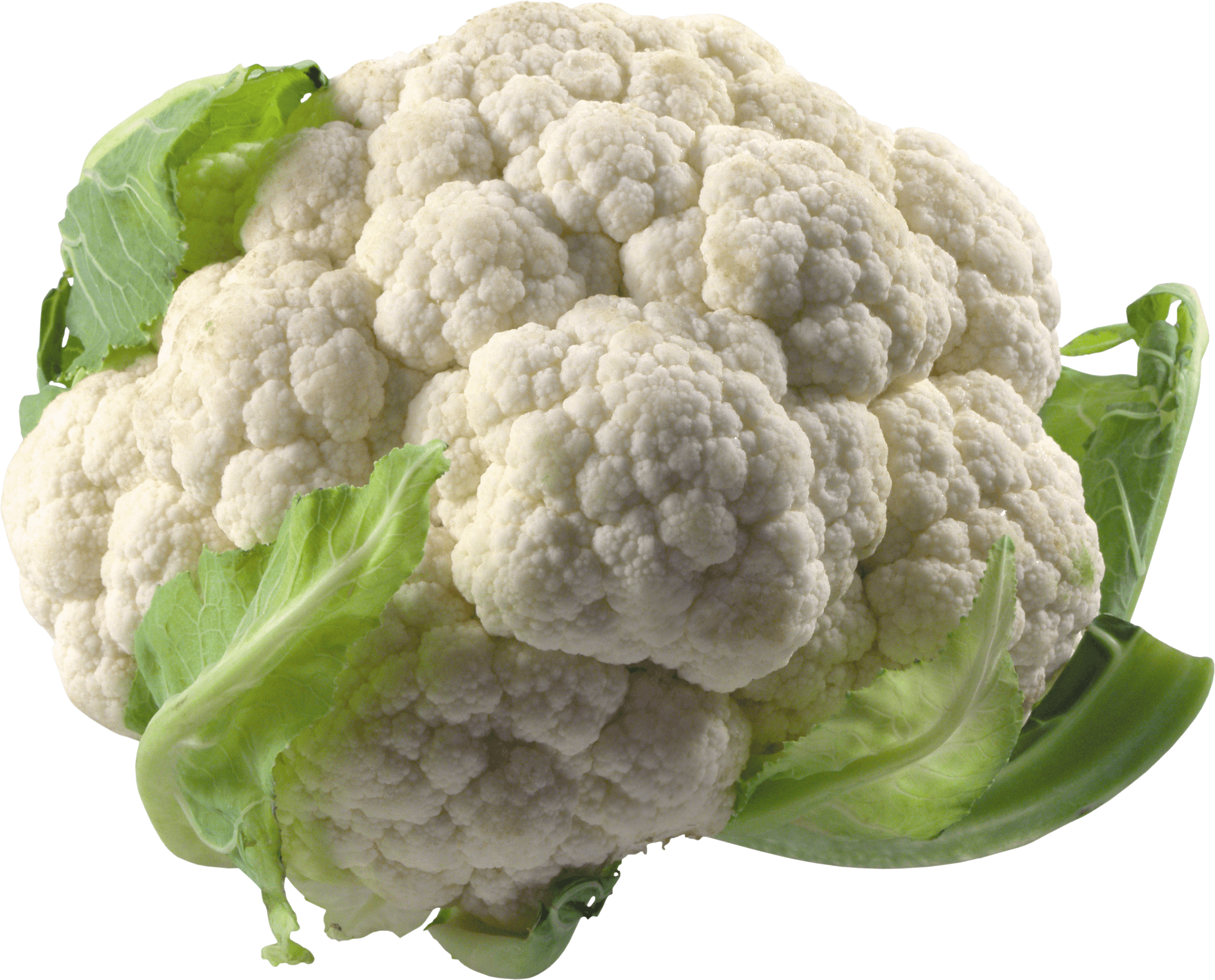 Cabbage Transparent PNG Image