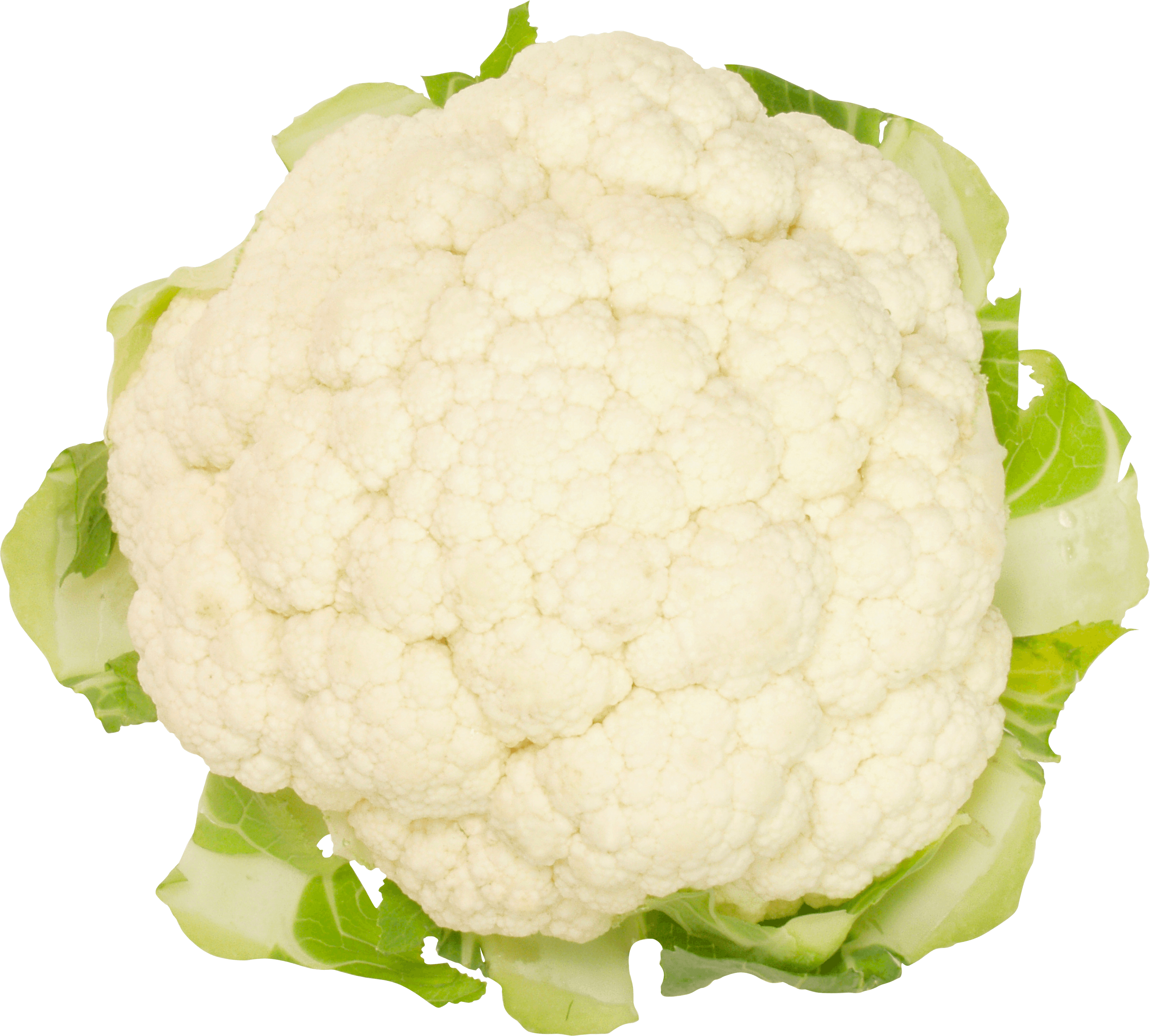 Cauliflower Transparent PNG Image