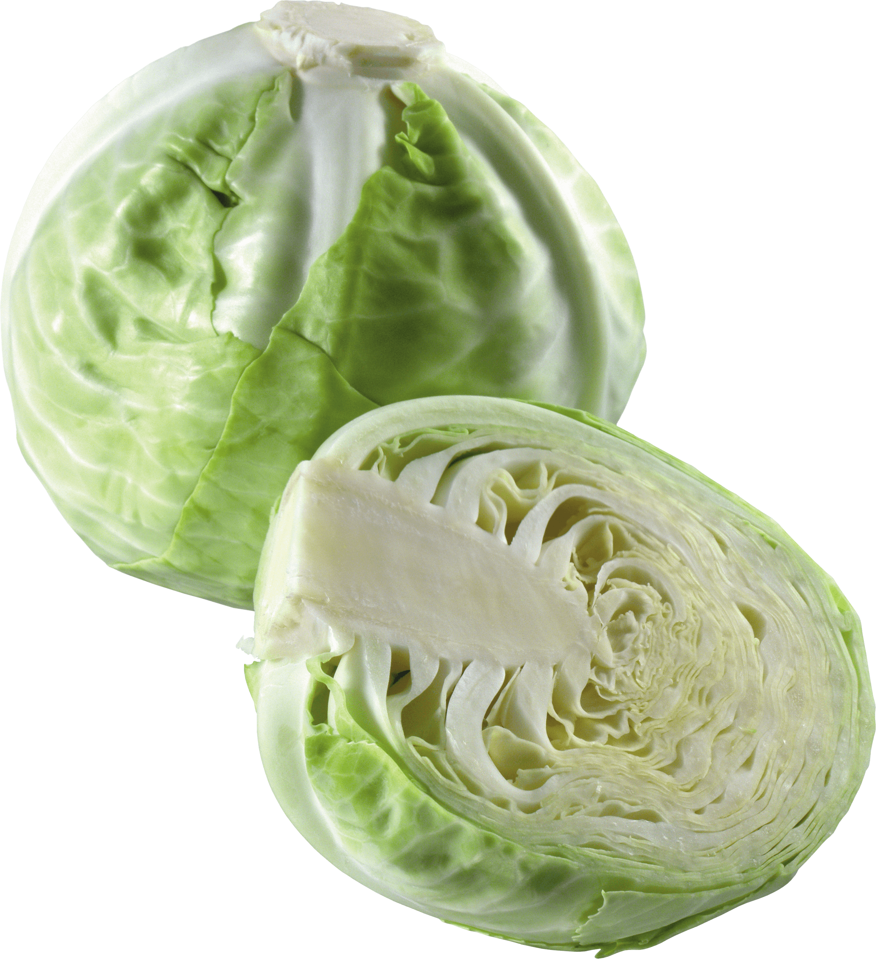 Cabbage Transparent PNG Image