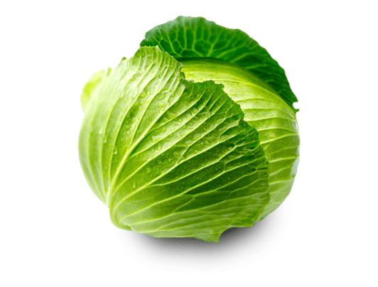 Cabbage Transparent PNG Image