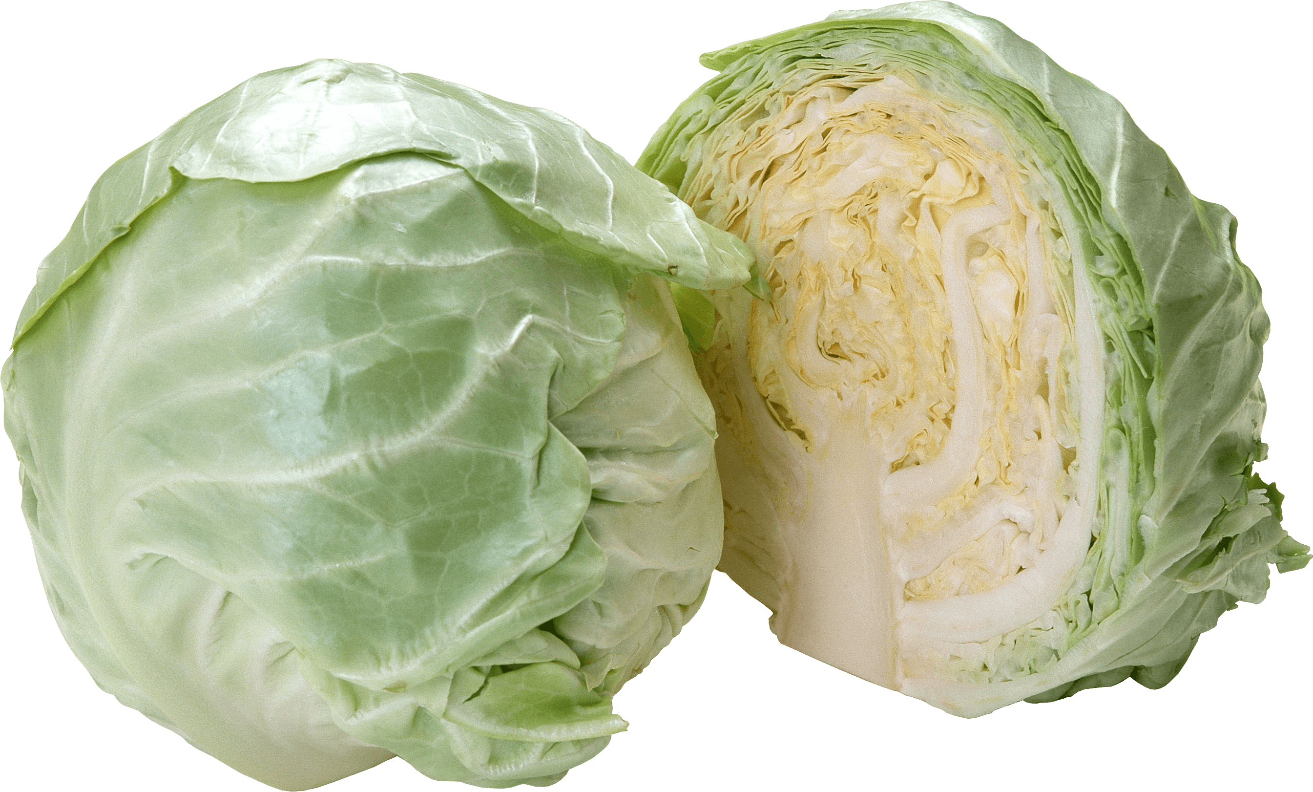 Cabbage Transparent PNG Image
