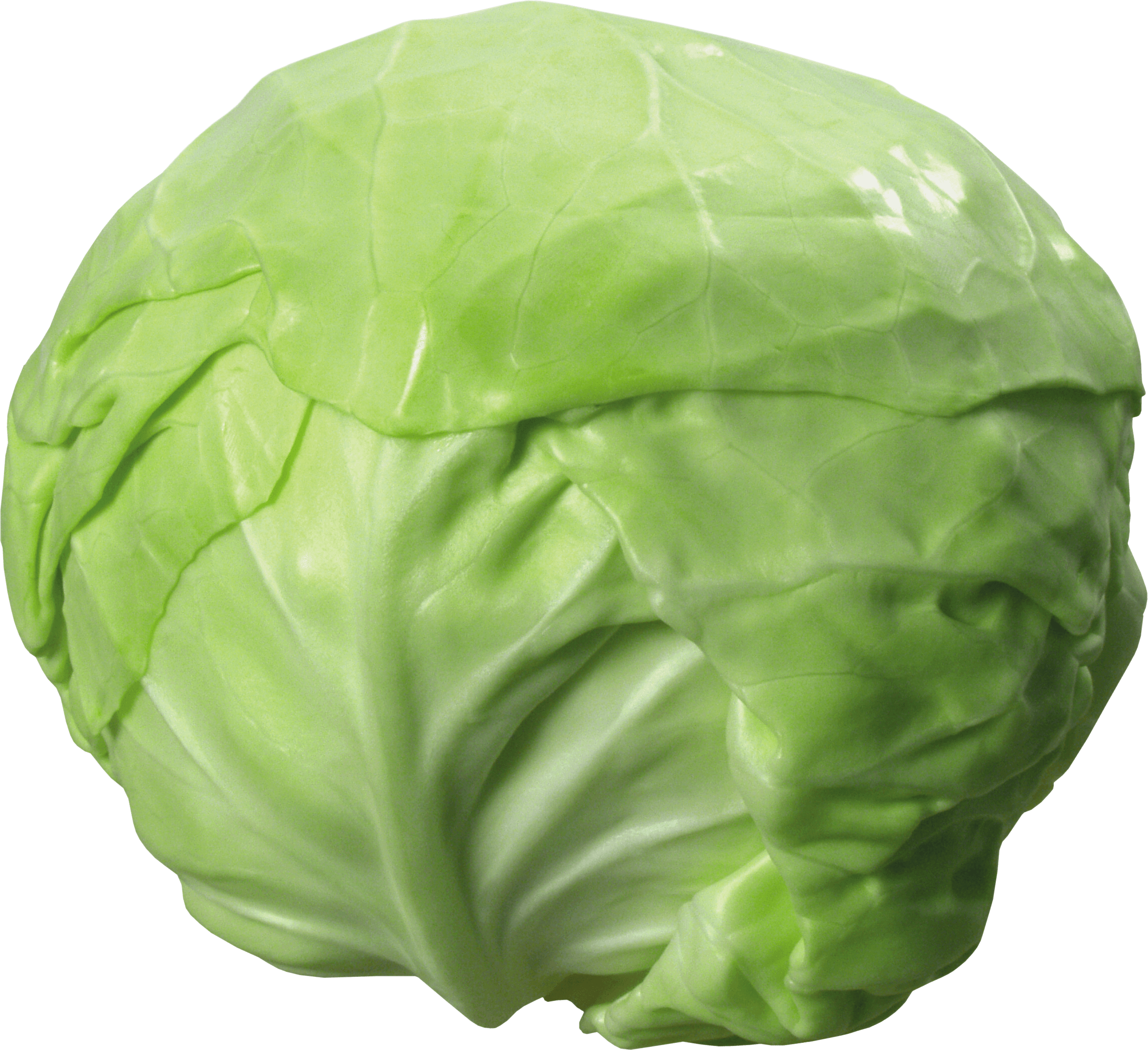 Cabbage Transparent PNG Image