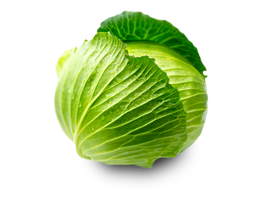Cabbage Transparent PNG Image
