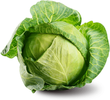 Cabbage Transparent PNG Image