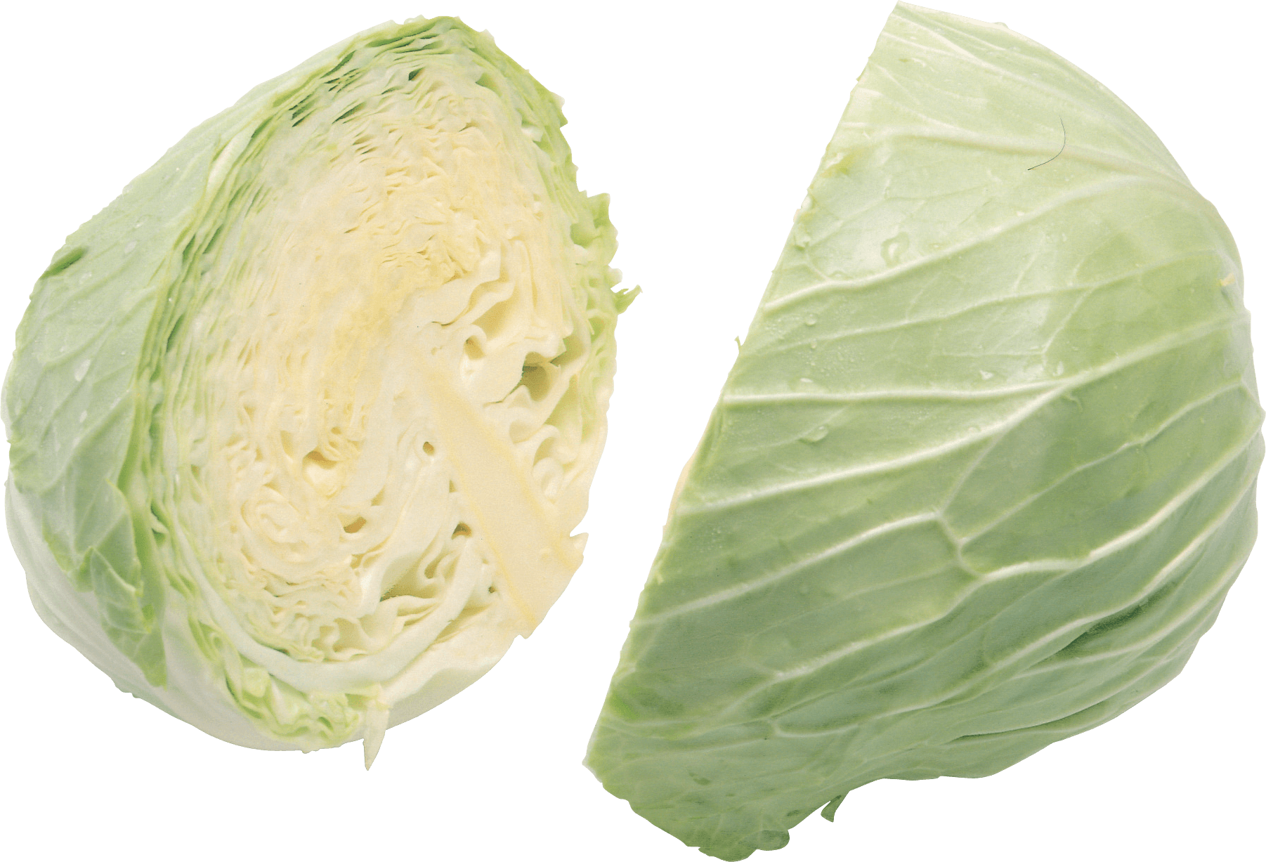 Cabbage Transparent PNG Image