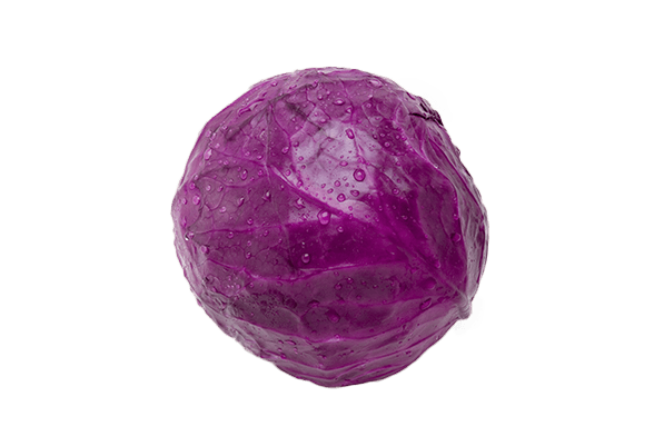 Cabbage Transparent PNG Image