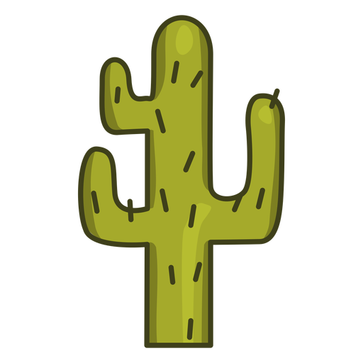 Vector Plant Cactus Transparent PNG Image
