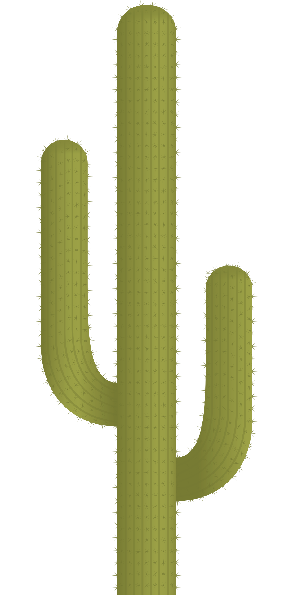 Vector Plant Cactus Transparent PNG Image