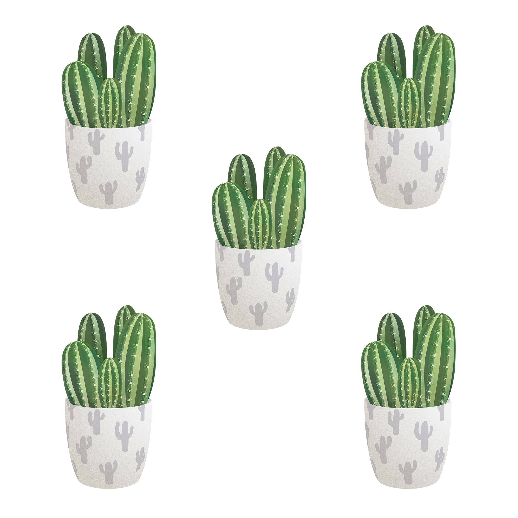 Vector Plant Cactus Transparent PNG Image