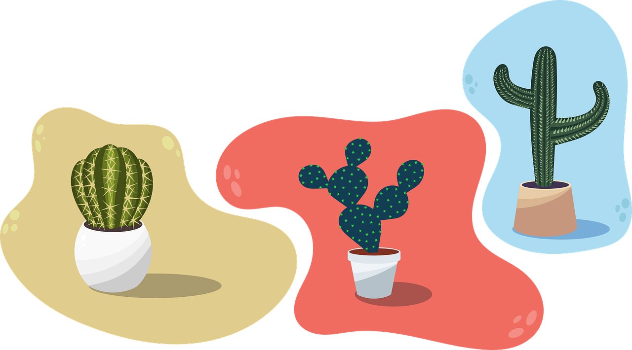 Vector Plant Cactus Transparent PNG Image