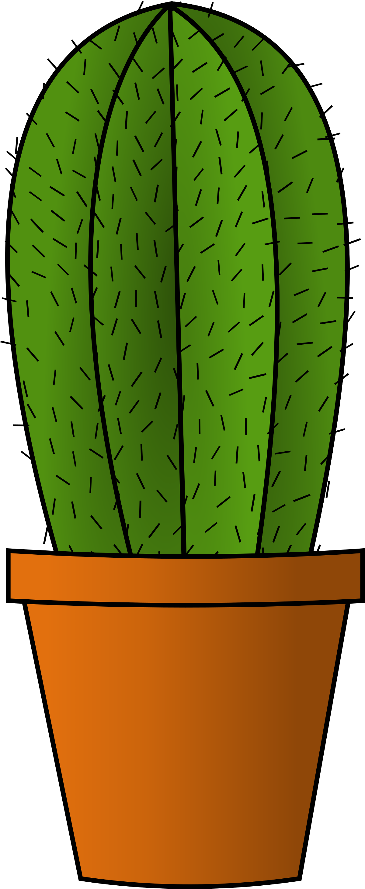 Vector Plant Cactus Green Transparent PNG Image