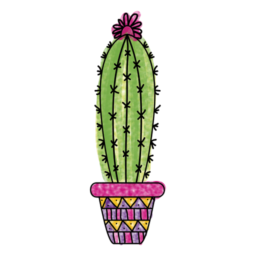 Vector Plant Prickly Cactus Transparent PNG Image