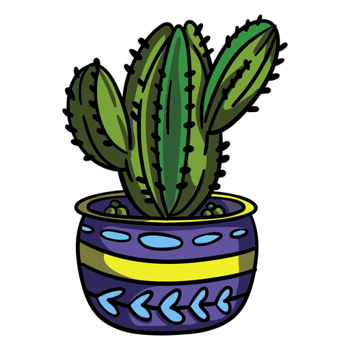 Vector Plant Prickly Cactus Transparent PNG Image