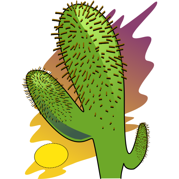 Vector Plant Prickly Cactus Transparent PNG Image