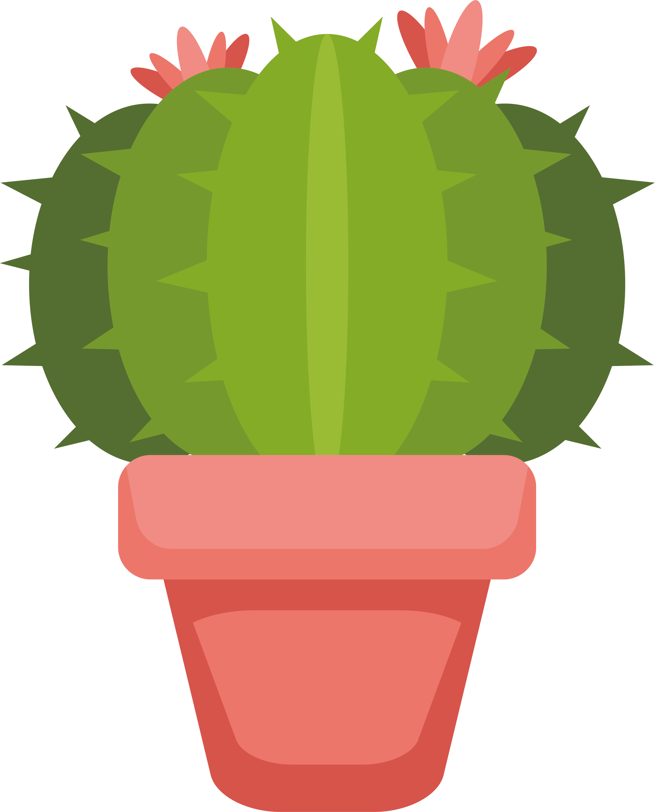 Tropical Plant Cactus Vector Transparent PNG Image