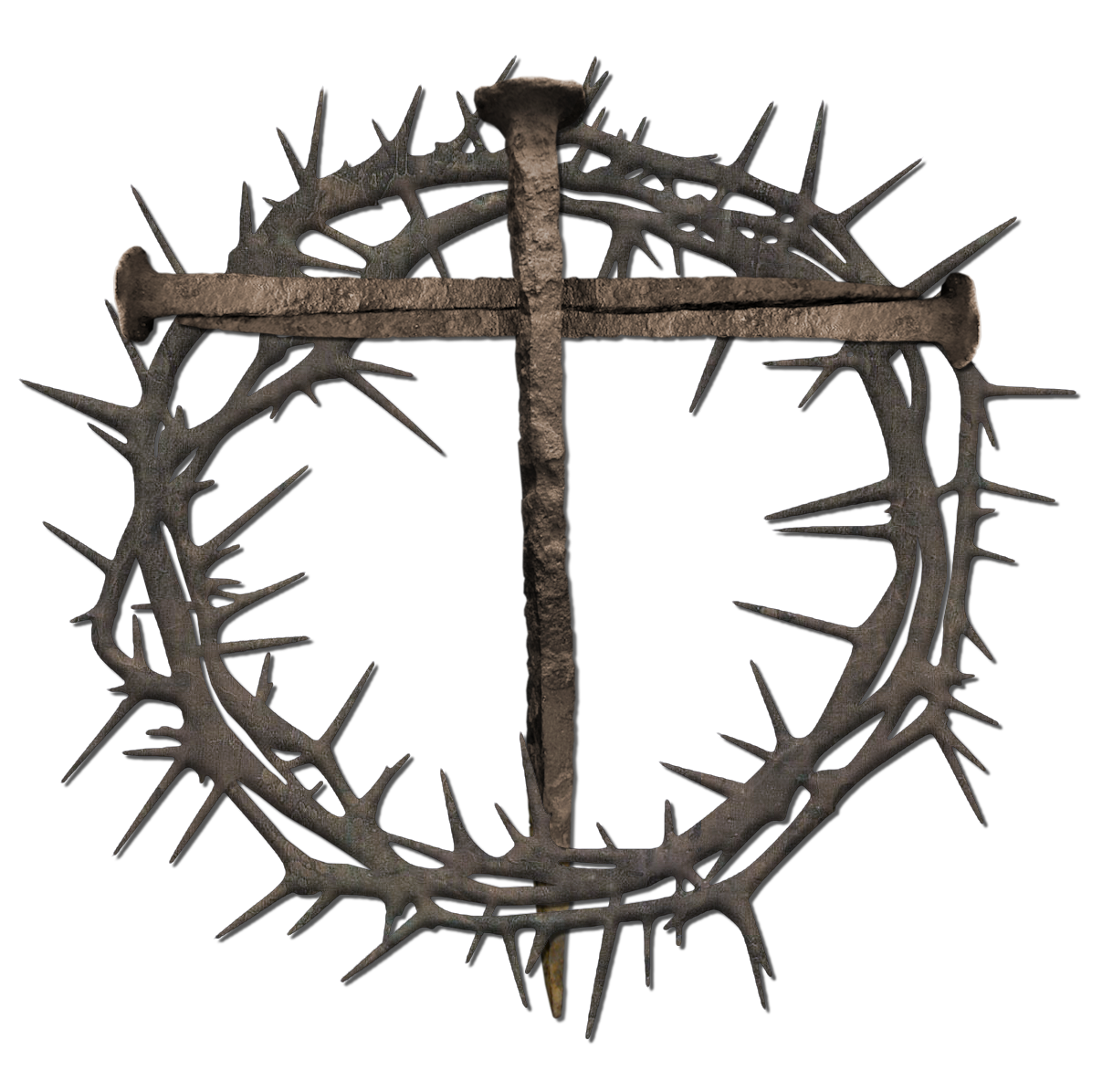 Prickle African Transparent PNG Image