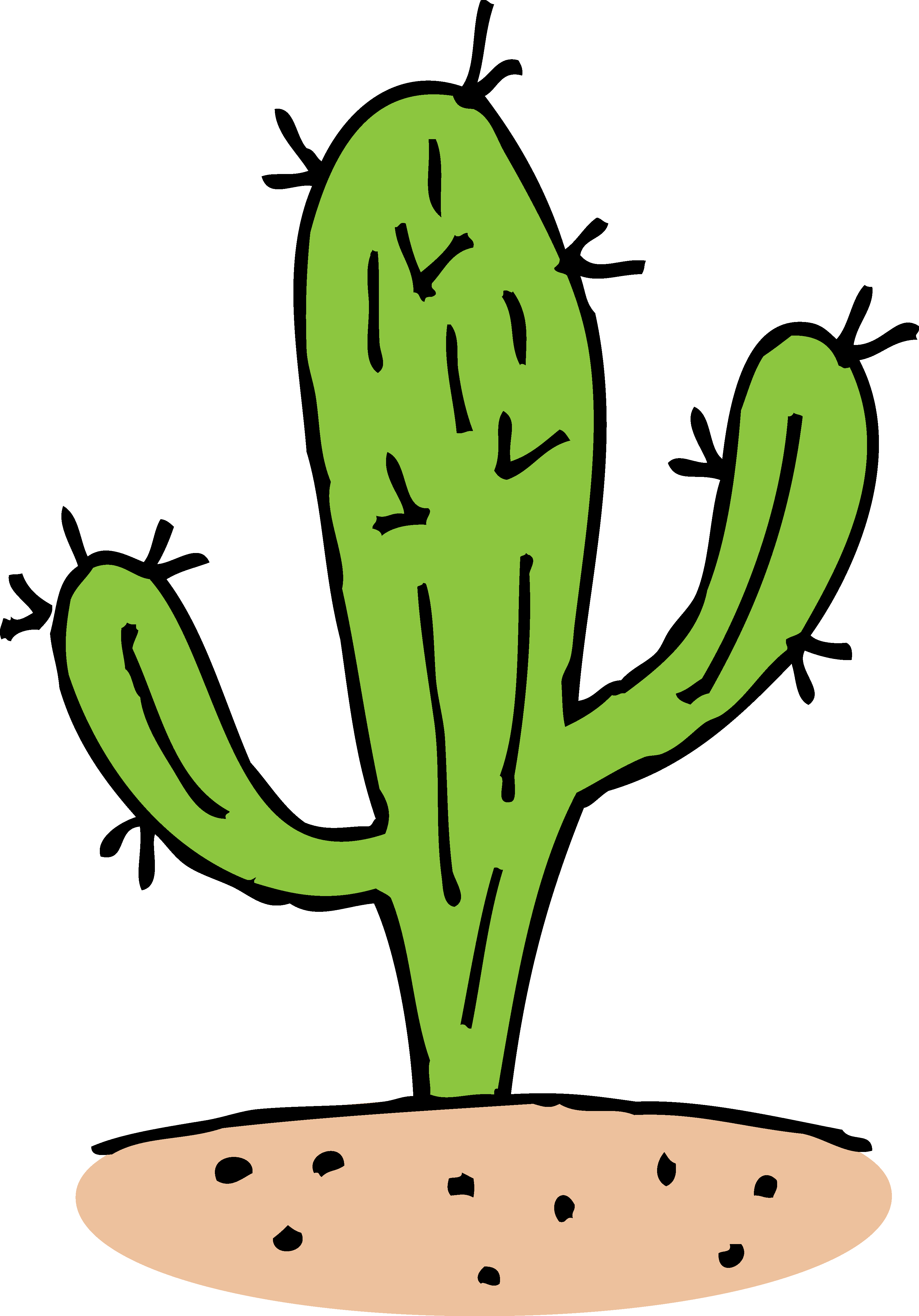 Cactus Prickle File Transparent PNG Image