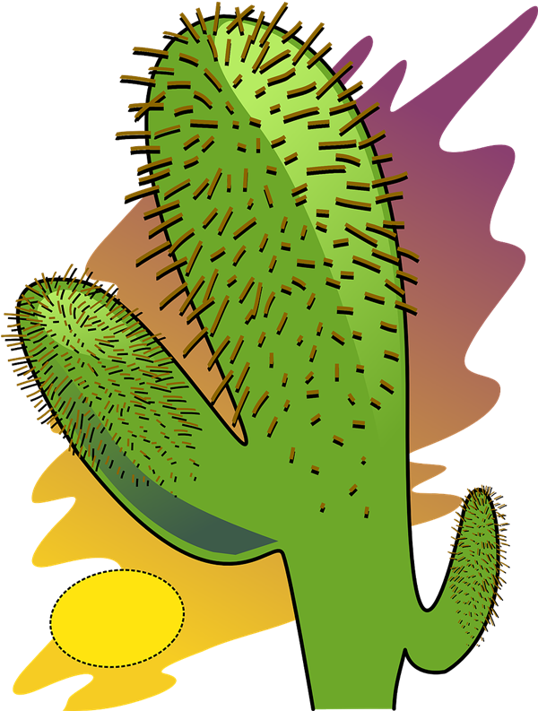 Cactus Prickle Transparent PNG Image