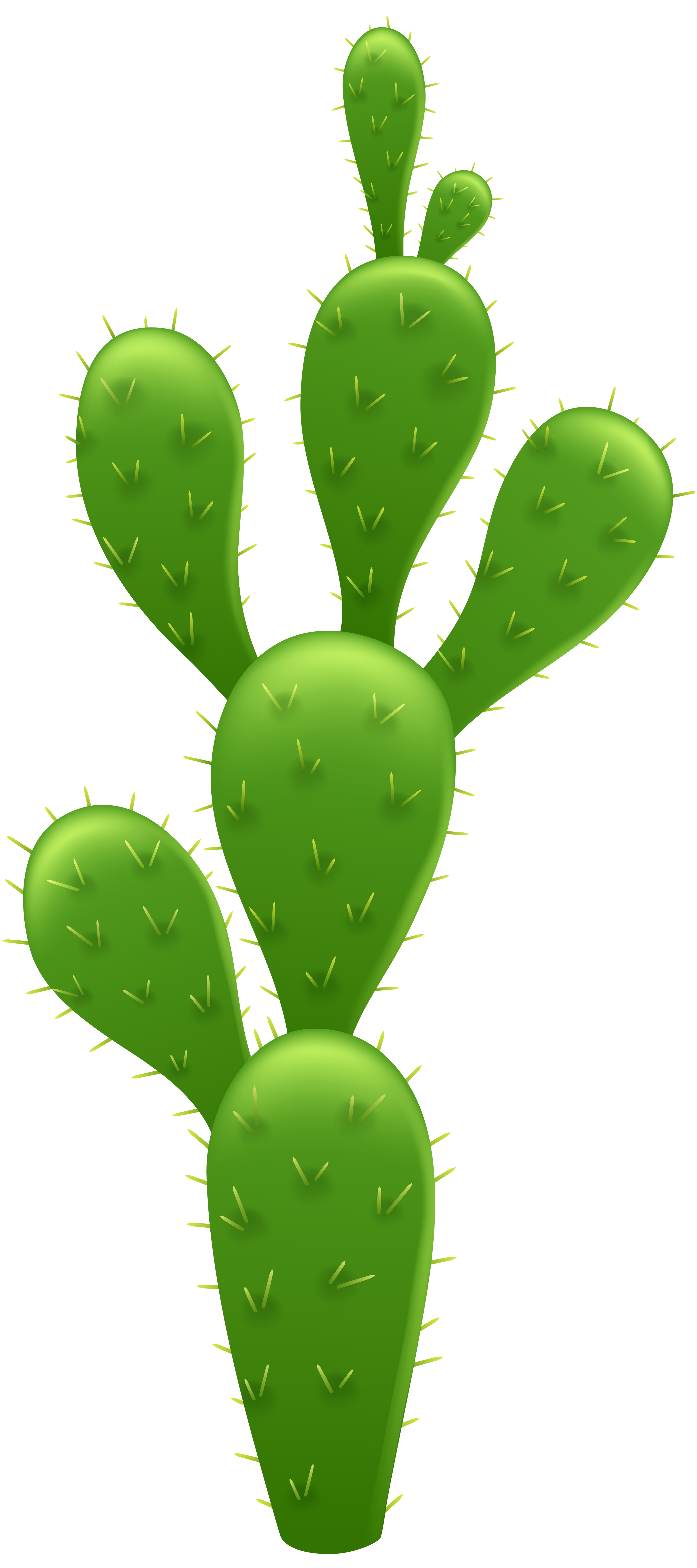 Cactus Prickle Transparent PNG Image