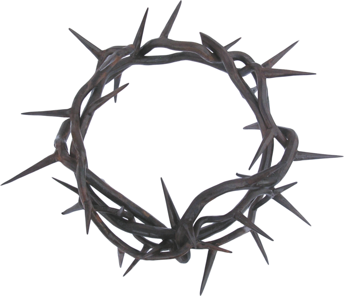 Prickle Transparent PNG Image