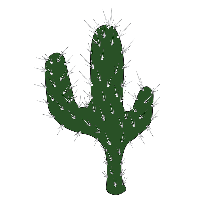 Prickle Transparent PNG Image