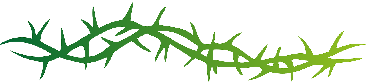 Prickle Transparent PNG Image