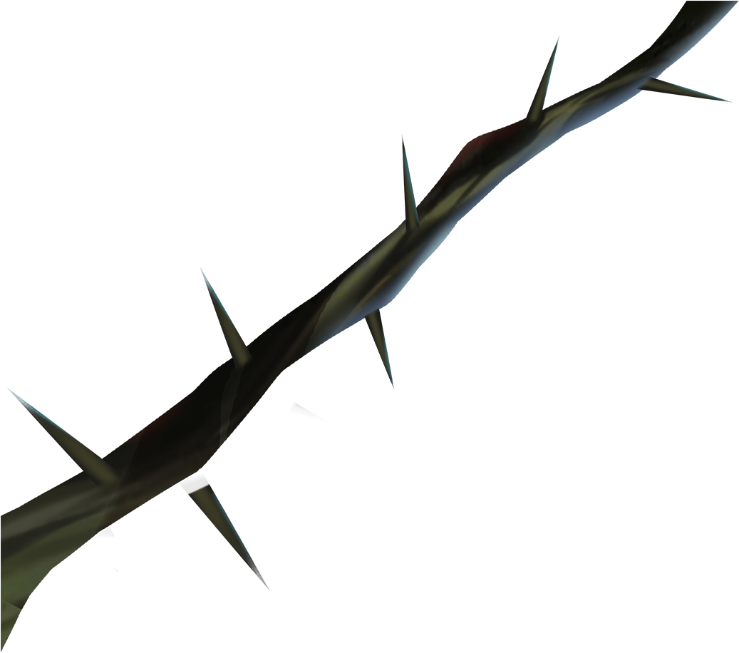 Prickle Transparent PNG Image