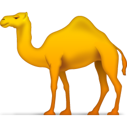 Camel Transparent PNG Image