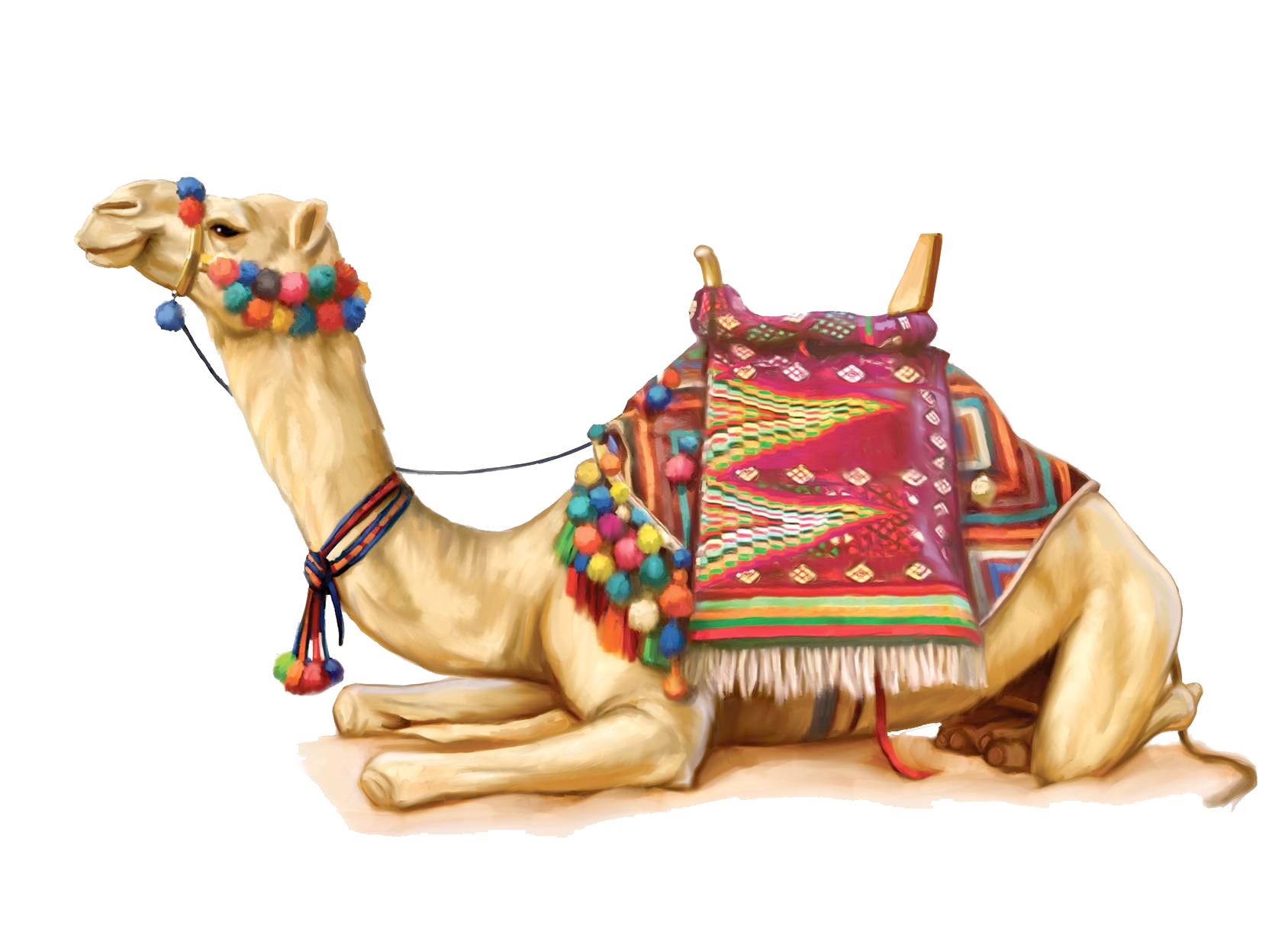 Camel 2 Transparent PNG Image