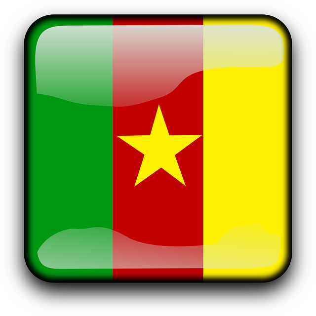Cameroon Flag Transparent PNG Image