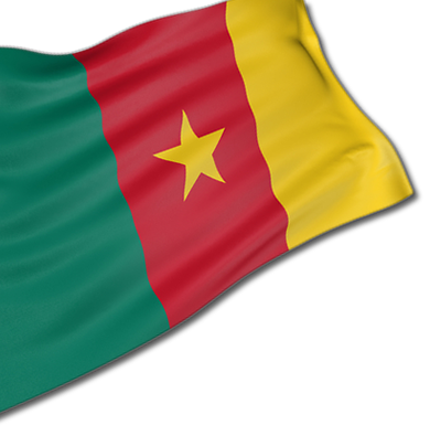Cameroon Flag Transparent PNG Image