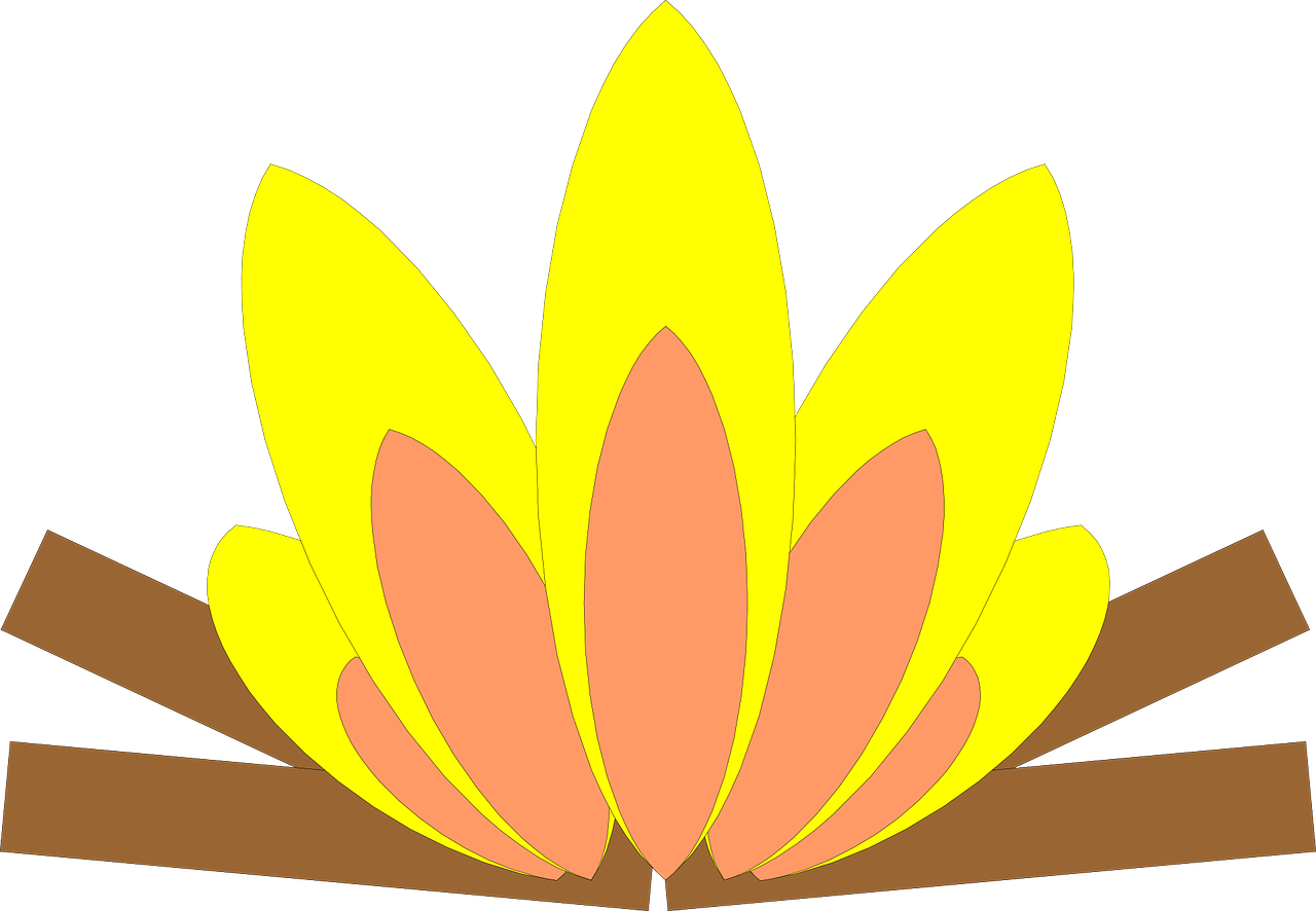 Vector Campfire Bonfire Transparent PNG Image
