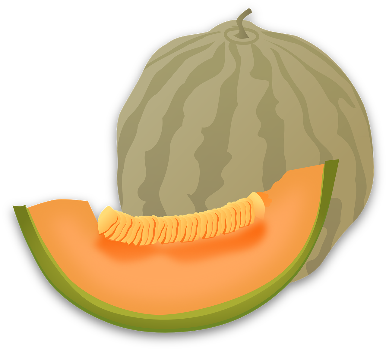 Cantaloupe Slices Transparent PNG Image
