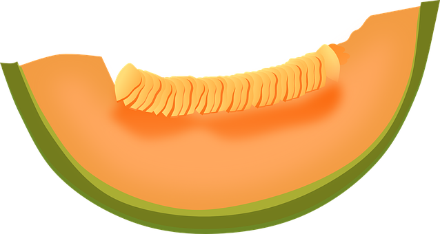 Cantaloupe Slices Transparent PNG Image