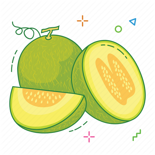 Cantaloupe Slices Transparent PNG Image