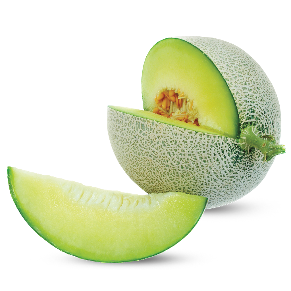 Fresh Cantaloupe Transparent PNG Image