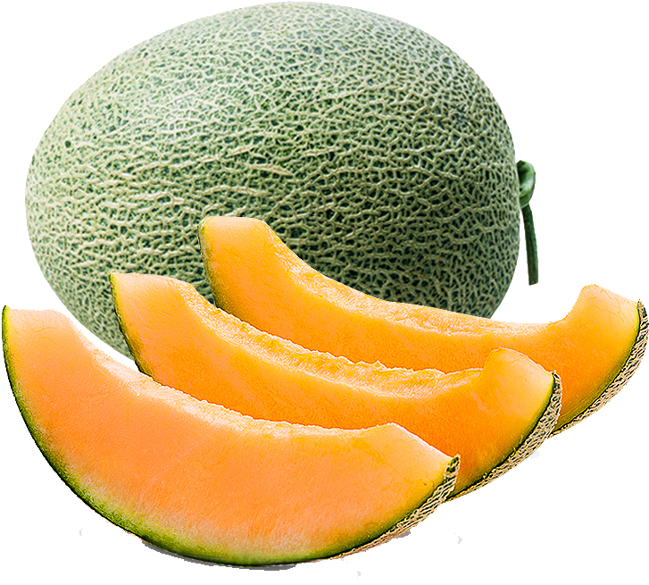 Fresh Cantaloupe File Transparent PNG Image