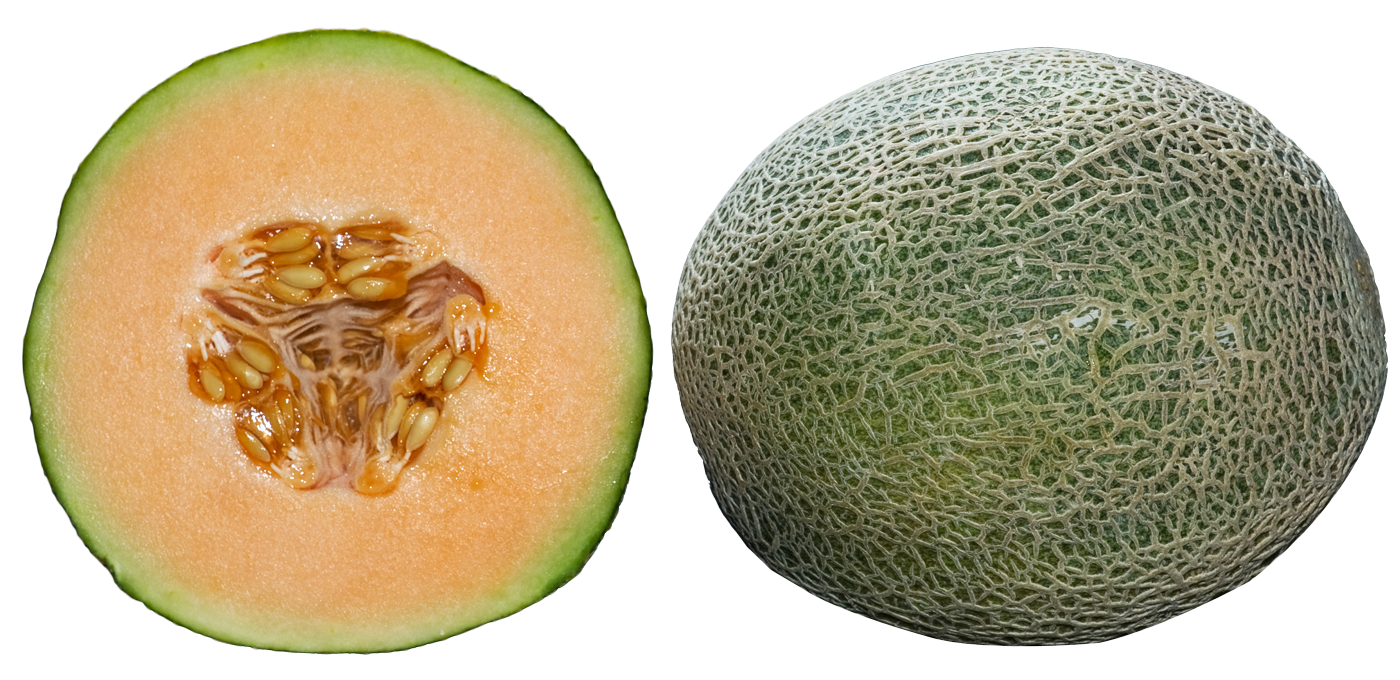 Fresh Cantaloupe Transparent PNG Image