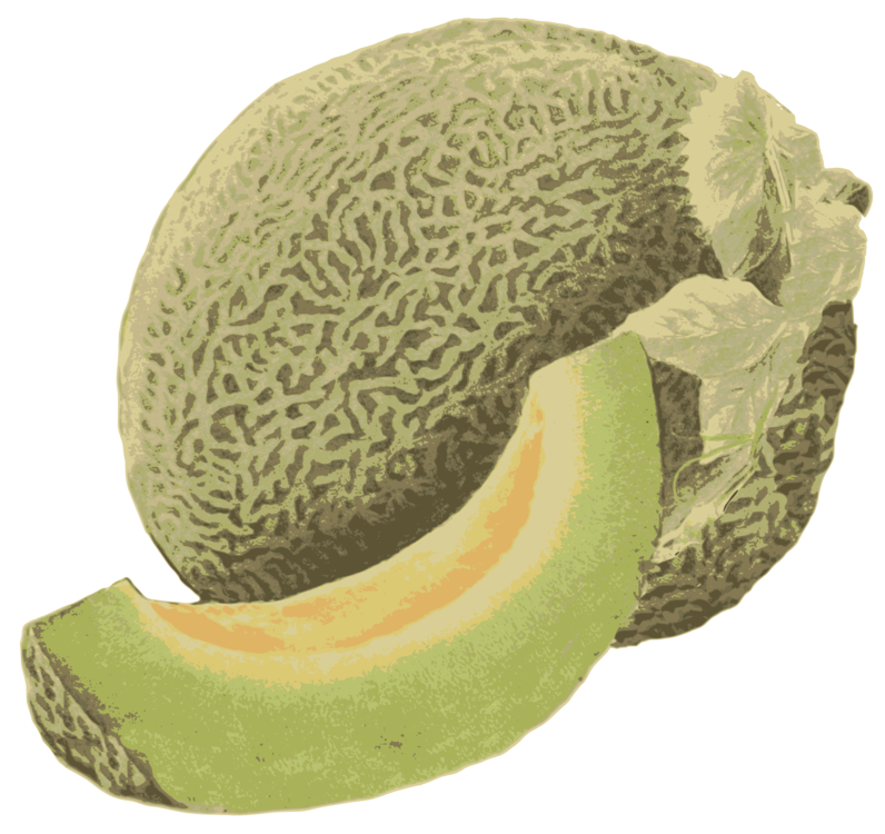 Cantaloupe Green Transparent PNG Image