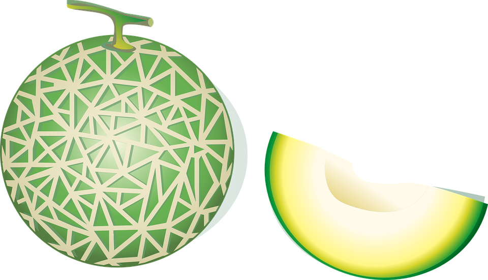 Cantaloupe Green Transparent PNG Image