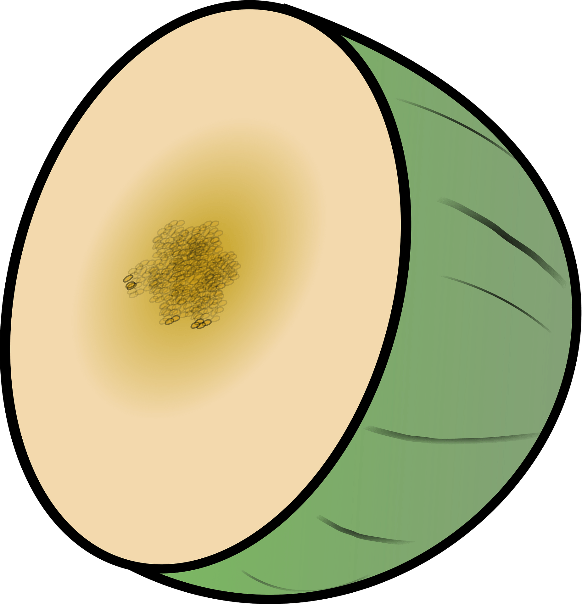 Cantaloupe Green Transparent PNG Image