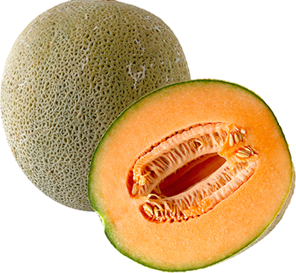 Cantaloupe Half Transparent PNG Image